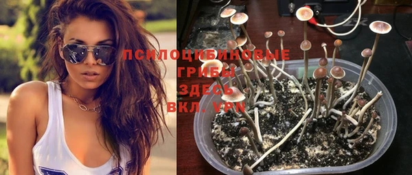 mix Абинск