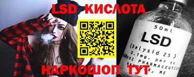 амф Сланцы