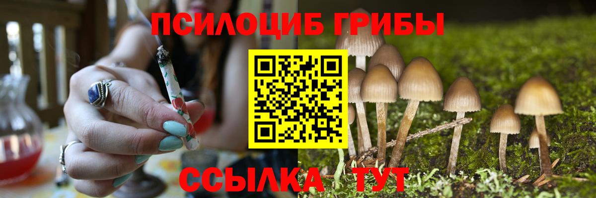 Рассказово  Галлюциногенные грибы MAGIC MUSHROOMS  Вход с VPN 